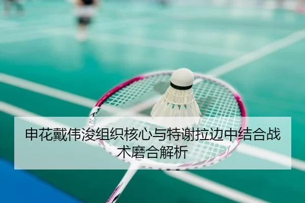 shen-hua-dai-wei-jun-zu-zhi-he-xin-yu-te-xie-la-bian-zhong-jie-he-zhan-shu-mo-he-jie-xi-2-380.jpg