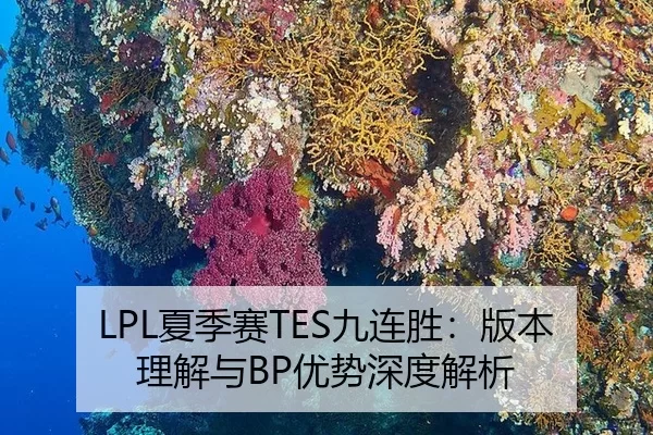 LPL夏季赛TES九连胜：版本理解与BP优势深度解析