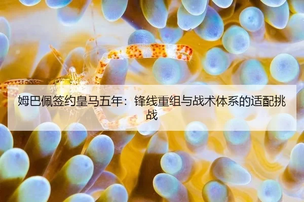 mu-ba-pei-qian-yue-huang-ma-wu-nian-feng-xian-chong-zu-yu-zhan-shu-ti-xi-de-shi-pei-tiao-zhan-2-341.jpg